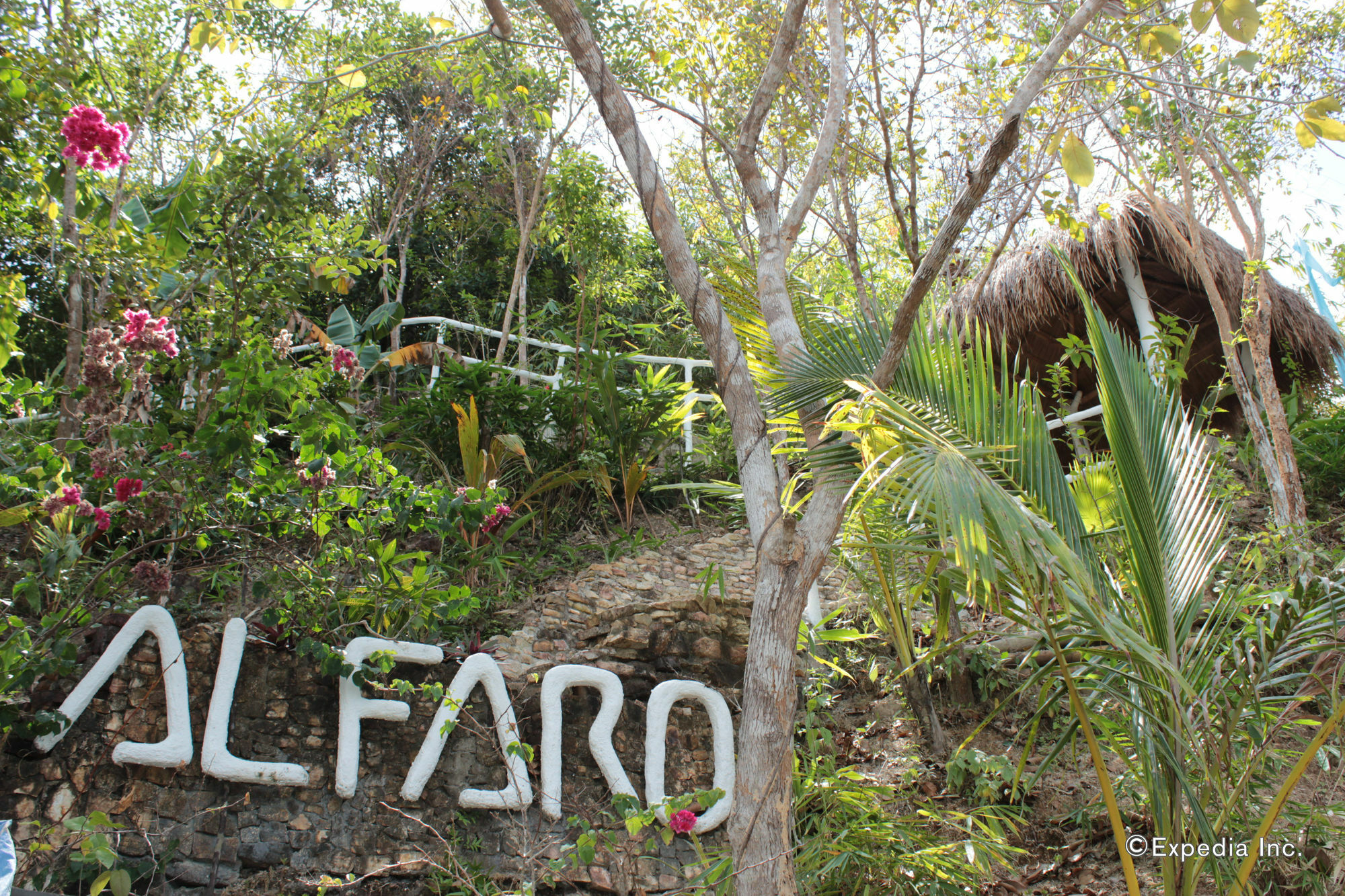 Al Faro Cosmio Hotel Palawan Busuanga Exteriér fotografie